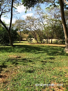 Golf Course Land with Fruit Trees - photo 4, land for sale in Tobago Plantations, Tobago