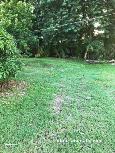 Flat Land with Sea View - photo 2, land for sale in Tobago, Tobago