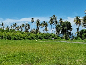 Beachfront Gated Community Land - photo 4, land for sale in Tobago Plantations, Tobago