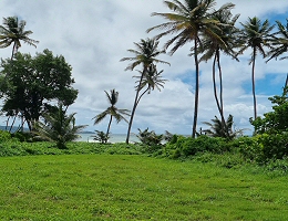 Beachfront Gated Community Land - photo 3, land for sale in Tobago Plantations, Tobago