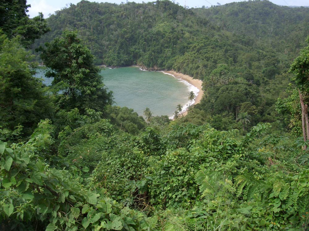 Residential Development Land - photo 2, land for sale in Englishman's Bay, Tobago