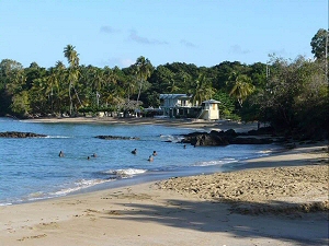 Waterfall Villa 3BR - photo 5, villa rental in Tobago, Tobago
