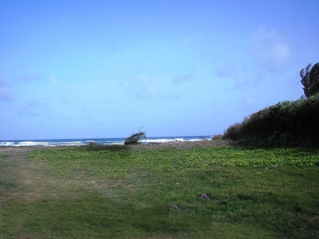 Seafront Land in Gated Community - photo 3, land for sale in Tobago, Tobago